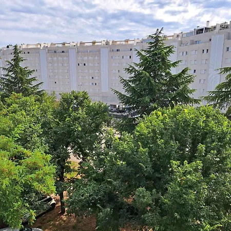 Koko Zadar