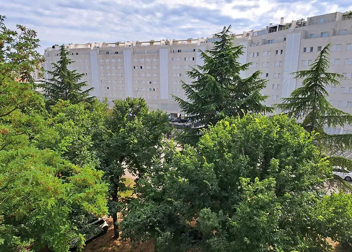 Koko Zadar